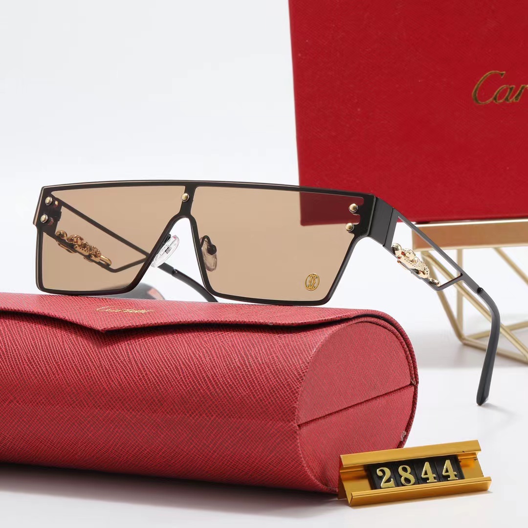 Cartier sunglasses-C5916S